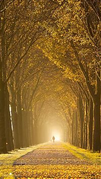 World & Travel: Nature landscapes by Lars Van De Goor