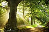 Trek.Today search results: Nature landscapes by Lars Van De Goor