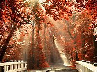 Trek.Today search results: Nature landscapes by Lars Van De Goor