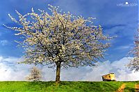 World & Travel: Nature landscapes by Lars Van De Goor