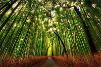 World & Travel: world travel landscape photography