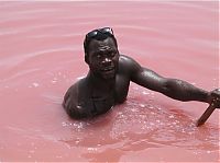 Trek.Today search results: Lake Retba, Lac Rose, Dakar, Senegal