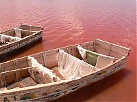 Trek.Today search results: Lake Retba, Lac Rose, Dakar, Senegal