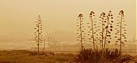 World & Travel: Calima, Saharan Air Layer, Sahara, Canary Islands, Africa