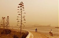 Calima, Saharan Air Layer, Sahara, Canary Islands, Africa