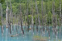 Trek.Today search results: Aoiike, Blue Pond, Biei, Shirogane Onsen, Kamikawa (Ishikari) District, Hokkaido, Japan