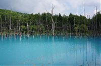 World & Travel: Aoiike, Blue Pond, Biei, Shirogane Onsen, Kamikawa (Ishikari) District, Hokkaido, Japan