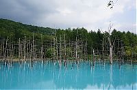 Trek.Today search results: Aoiike, Blue Pond, Biei, Shirogane Onsen, Kamikawa (Ishikari) District, Hokkaido, Japan