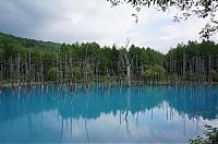 Trek.Today search results: Aoiike, Blue Pond, Biei, Shirogane Onsen, Kamikawa (Ishikari) District, Hokkaido, Japan