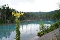 World & Travel: Aoiike, Blue Pond, Biei, Shirogane Onsen, Kamikawa (Ishikari) District, Hokkaido, Japan