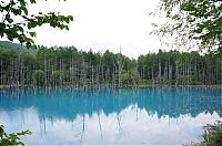 Trek.Today search results: Aoiike, Blue Pond, Biei, Shirogane Onsen, Kamikawa (Ishikari) District, Hokkaido, Japan