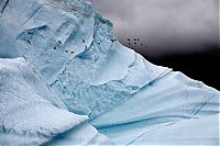 Trek.Today search results: The Last Iceberg by Camille Seaman