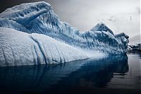 Trek.Today search results: The Last Iceberg by Camille Seaman