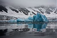 World & Travel: The Last Iceberg by Camille Seaman