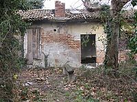 Trek.Today search results: Island of Poveglia, Venice, Lido, Venetian Lagoon, Italy