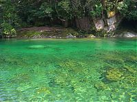 Trek.Today search results: Yakusugi Forest, Yakushima island, Kagoshima Prefecture, Japan