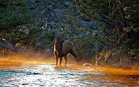 Trek.Today search results: Yellowstone National Park, Wyoming, Idaho, Montana, United States