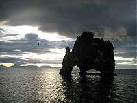 Trek.Today search results: Dynosaur Rock Hvítserkur, Vatnsnes, Iceland