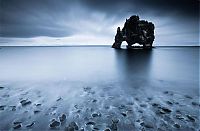 Trek.Today search results: Dynosaur Rock Hvítserkur, Vatnsnes, Iceland