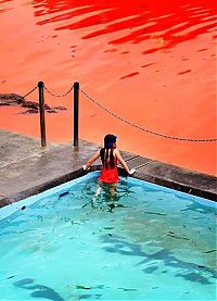 Red algae beach, Sydney, Australia