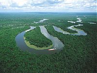 World & Travel: Amazon rainforest jungle, South America