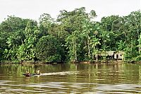 World & Travel: Amazon rainforest jungle, South America