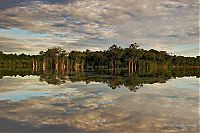 Trek.Today search results: Amazon rainforest jungle, South America