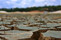 Trek.Today search results: Amazon rainforest jungle, South America