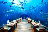 World & Travel: Conrad Maldives Rangali Island Resort, Rangali, Alif Dhaal Atoll, Maldives