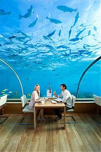 Trek.Today search results: Conrad Maldives Rangali Island Resort, Rangali, Alif Dhaal Atoll, Maldives