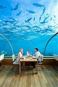 World & Travel: Conrad Maldives Rangali Island Resort, Rangali, Alif Dhaal Atoll, Maldives