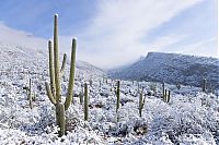 Trek.Today search results: Grand Canyon covered with snow, Arizona, United States