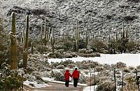 Trek.Today search results: Grand Canyon covered with snow, Arizona, United States
