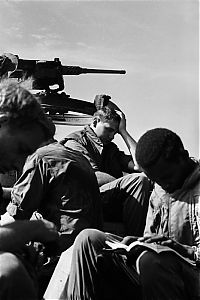 Trek.Today search results: History: Vietnam war in photographs