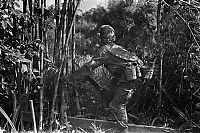 Trek.Today search results: History: Vietnam war in photographs