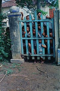 World & Travel: History: Vietnam war in photographs