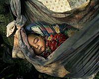 Trek.Today search results: Life of gypsies by Joakim Eskildsen