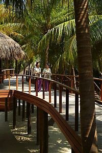 Trek.Today search results: Dusit Thani Maldives hotel, Baa Atoll, Maldives