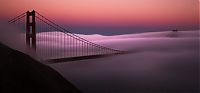 Trek.Today search results: San Francisco at night, California, United States