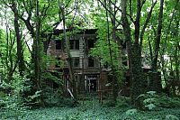 Trek.Today search results: North Brother Island, East River, New York City, United States