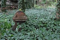 World & Travel: North Brother Island, East River, New York City, United States