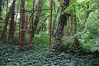 World & Travel: North Brother Island, East River, New York City, United States