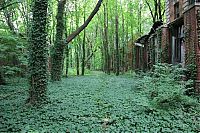 North Brother Island, East River, New York City, United States