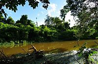 World & Travel: Amazon rainforest jungle, South America