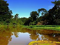 World & Travel: Amazon rainforest jungle, South America