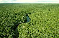 World & Travel: Amazon rainforest jungle, South America