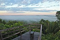 Trek.Today search results: Amazon rainforest jungle, South America