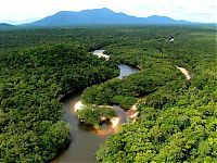 World & Travel: Amazon rainforest jungle, South America