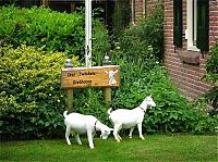 Trek.Today search results: Giethoorn village, Overijssel, Steenwijkerland, Netherlands