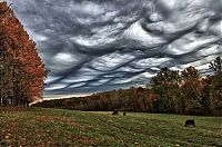 Trek.Today search results: clouds formation